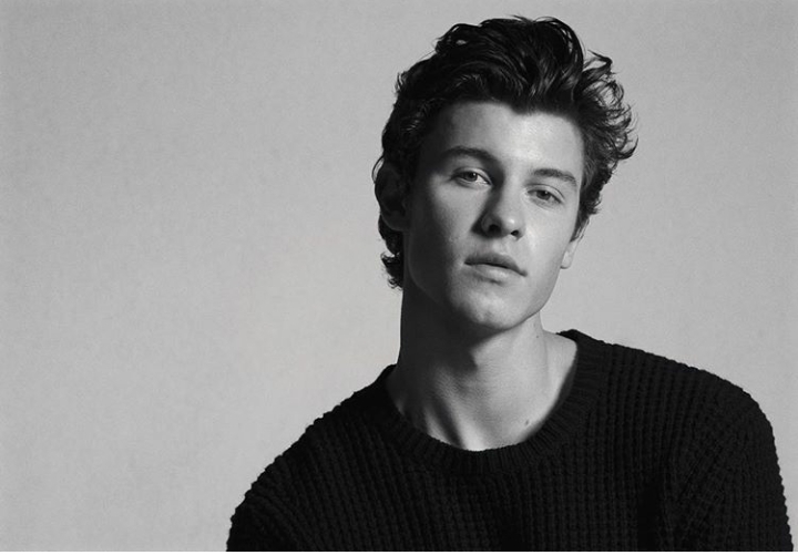 shawn mendes