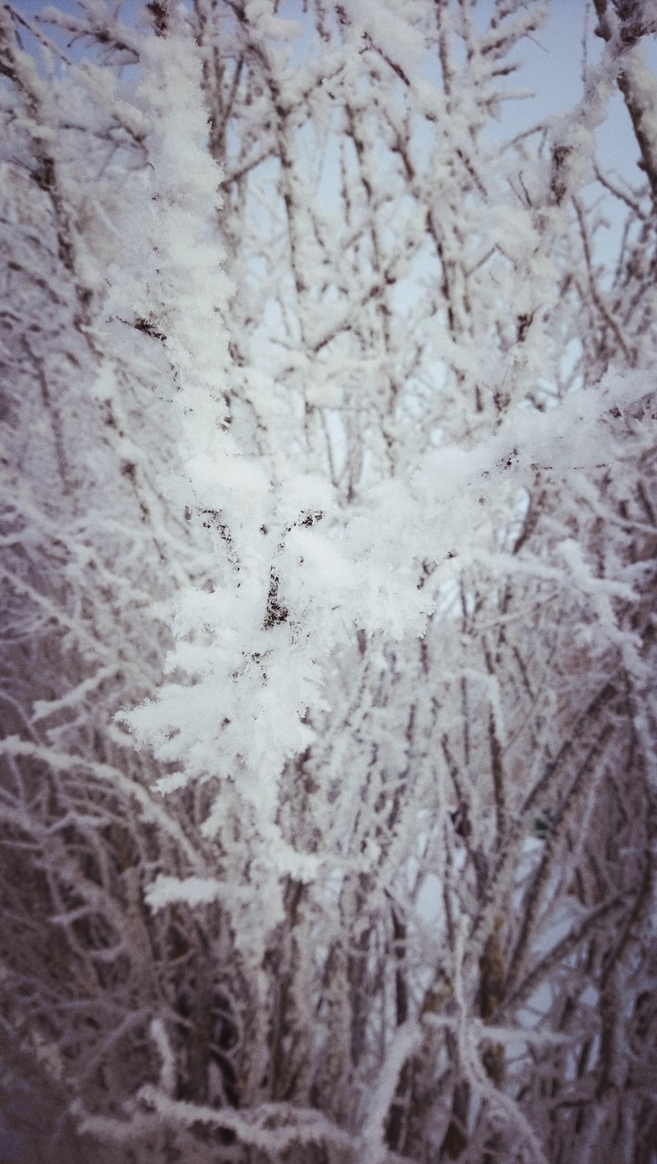 -28 С'