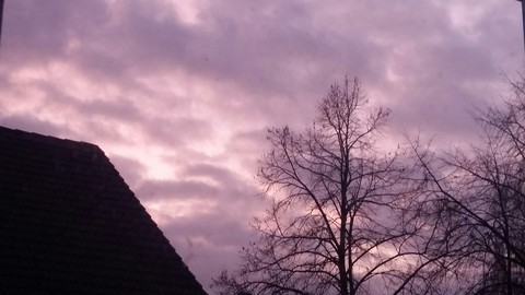 Rosé Sky