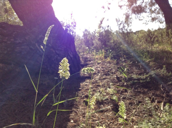 A long journey in Zaghouan