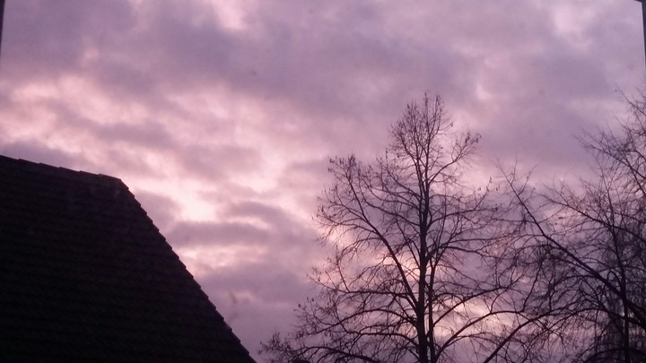 Rosé Sky