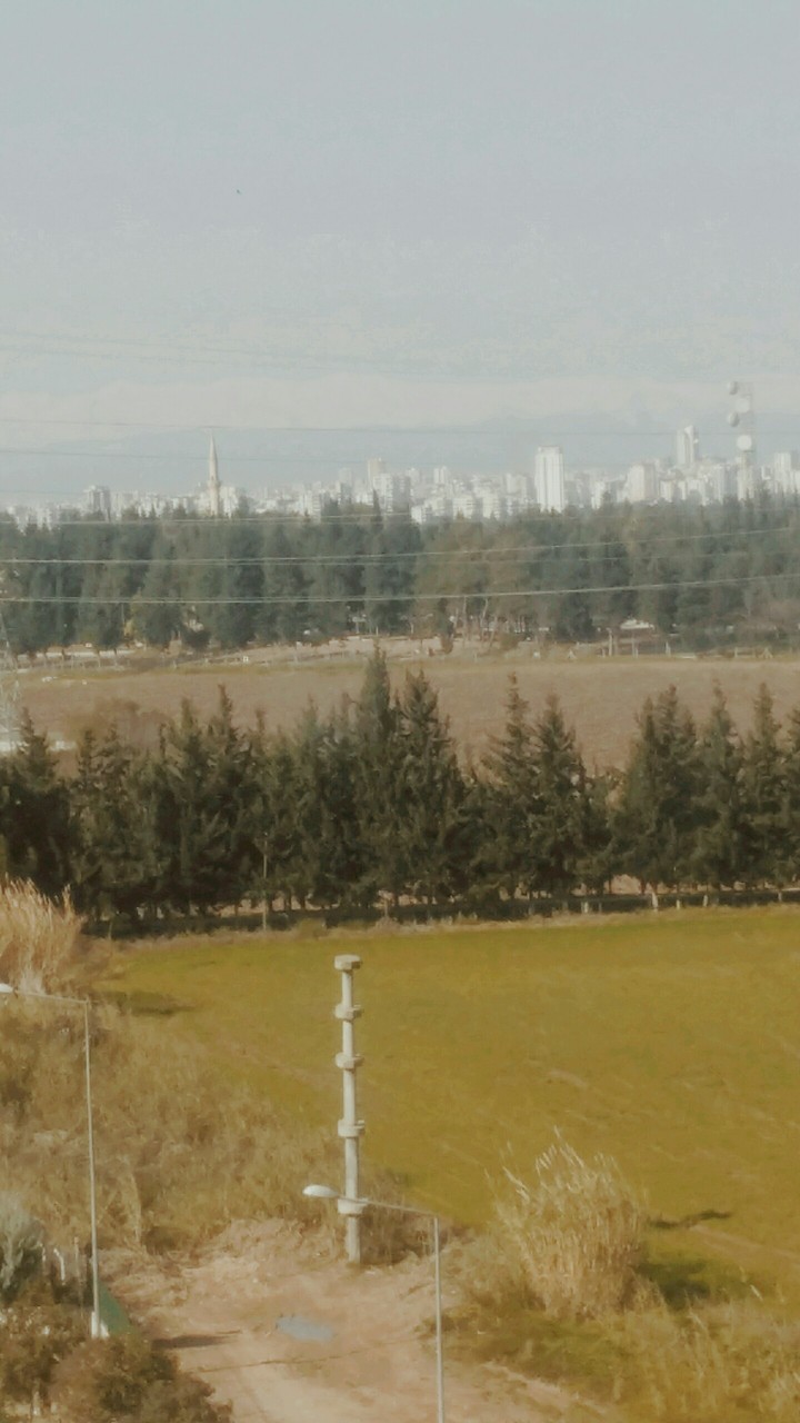 adana