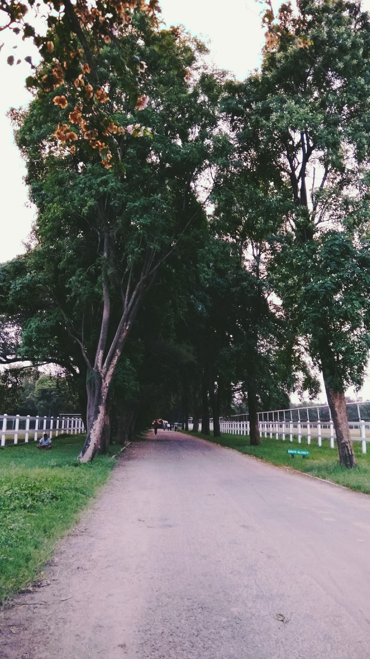 Road