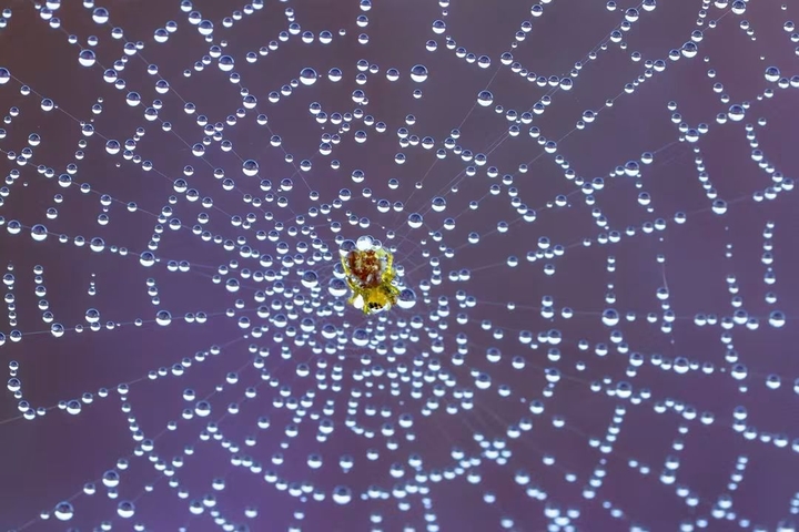Nature is beautiful!