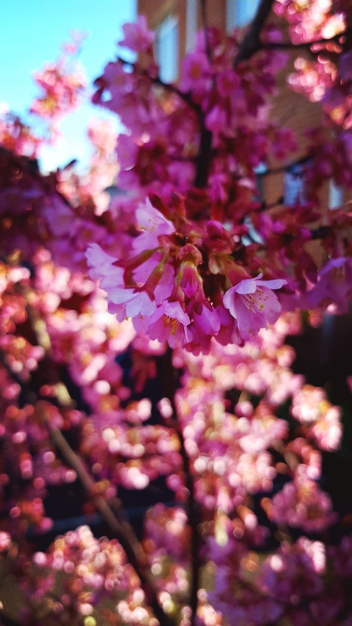 spring time