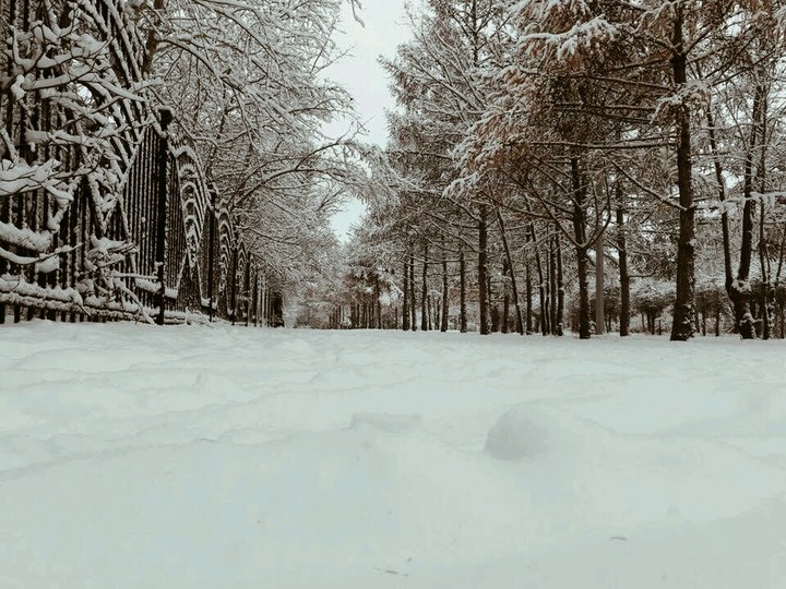 snow