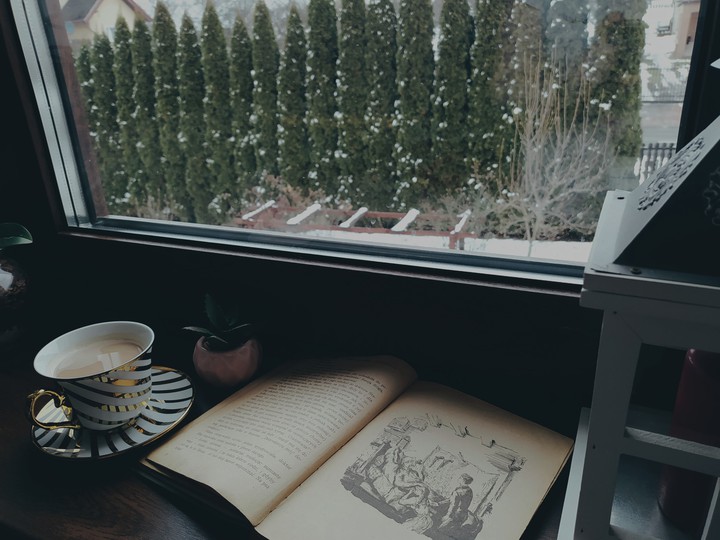 Winter morning with a book and caffee
