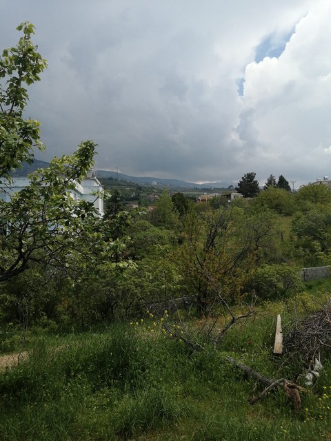 Doğa
