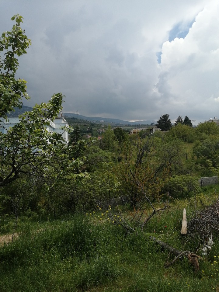 Doğa