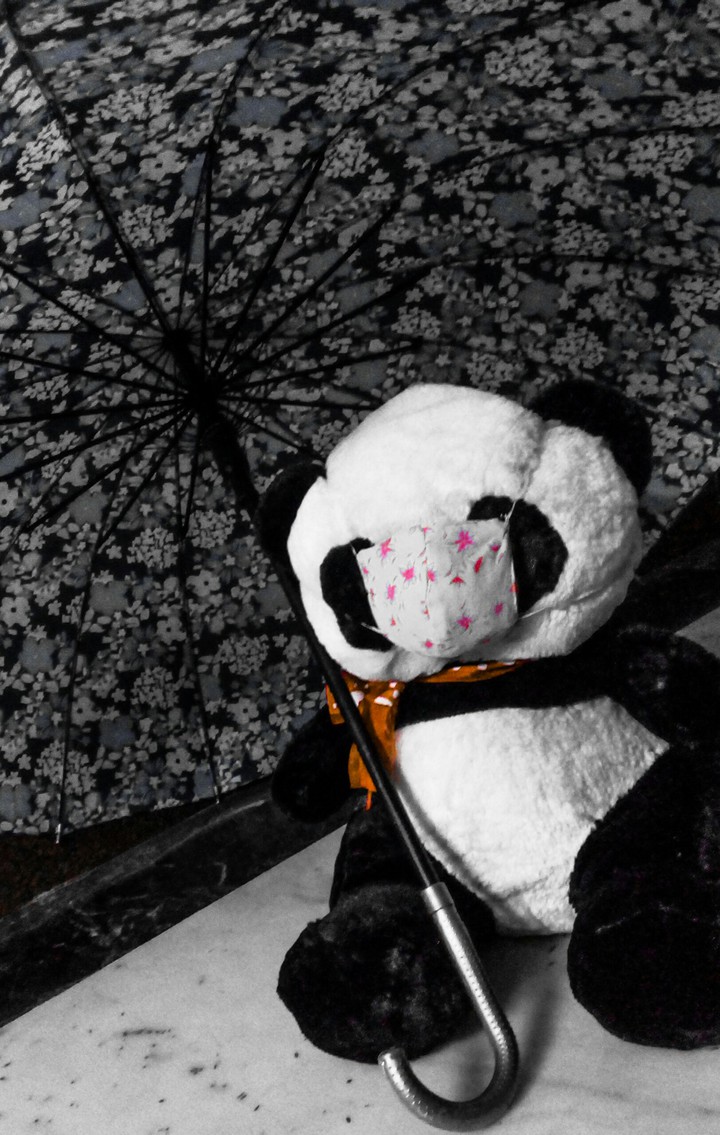 panda ?