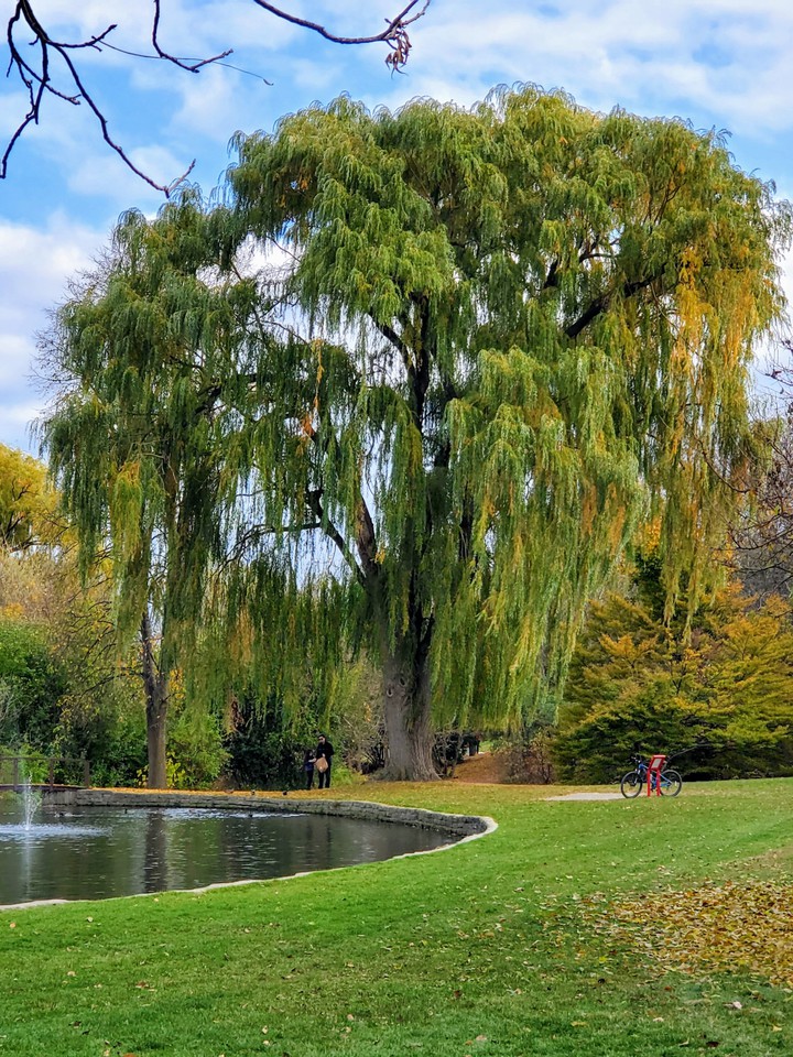 Centennial park