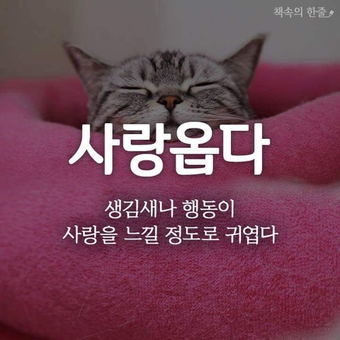 순우리말8