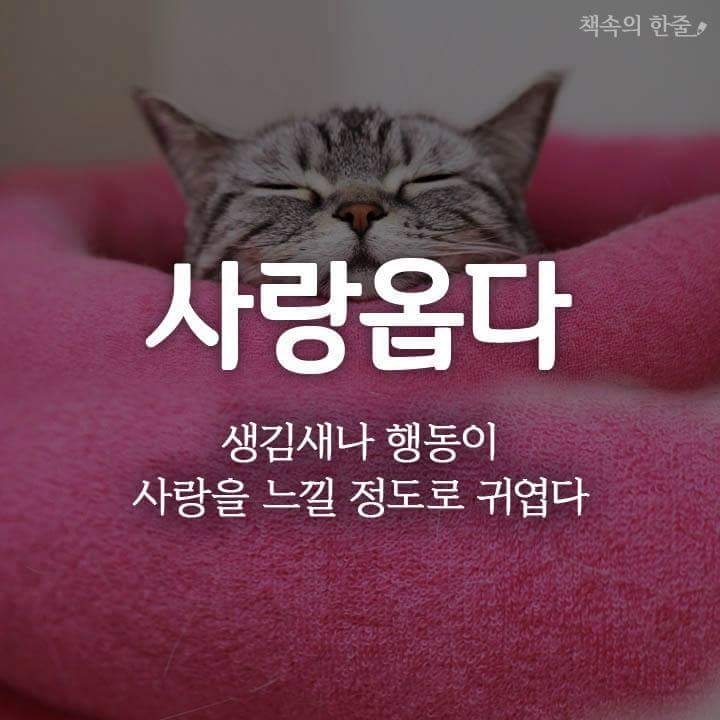 순우리말8
