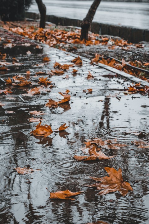 sfondi Fluid, Water
