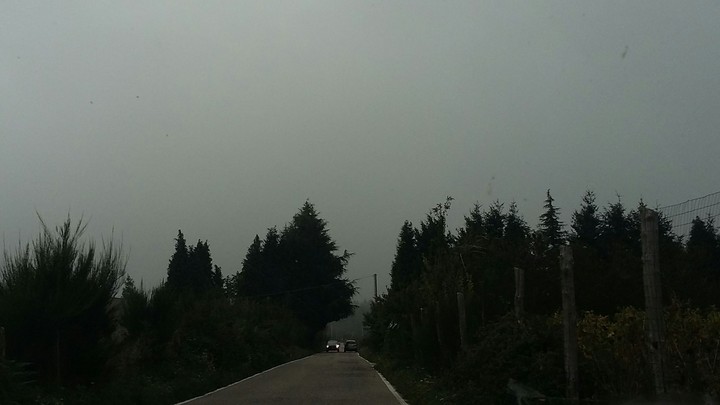 The road leading to the forest