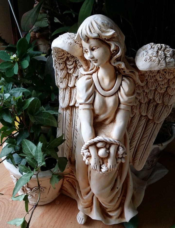 angel