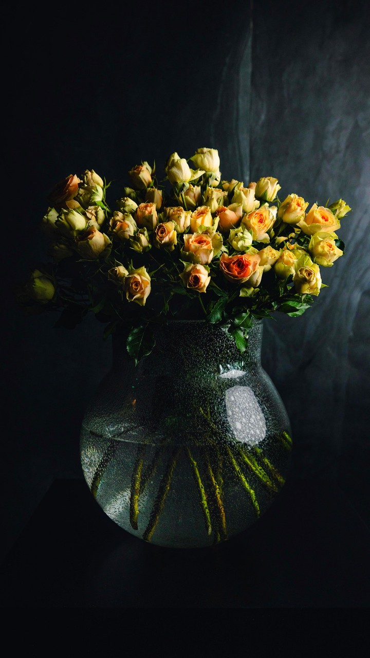 yellow roses