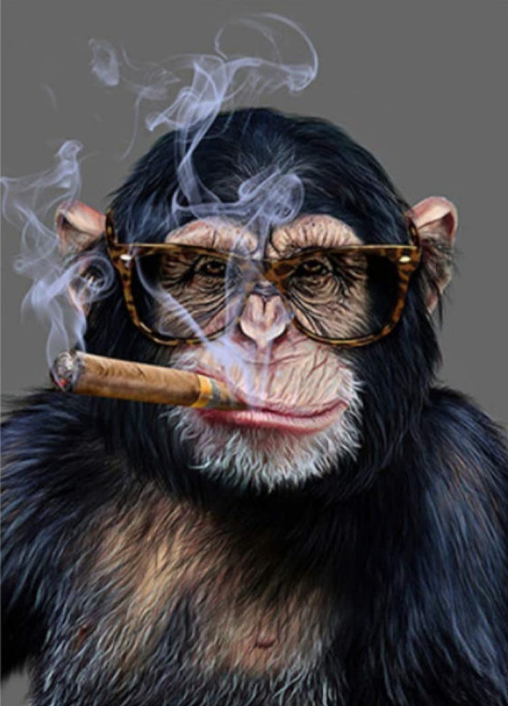 crazy monkey