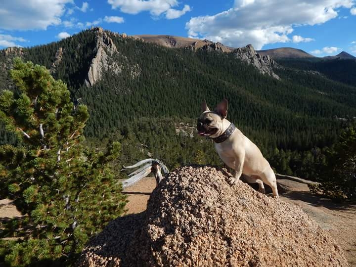 on top of the world