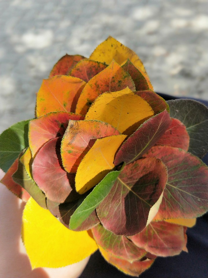 Autumn