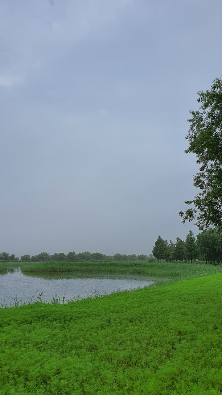 흐린 아침(cloudy morning)