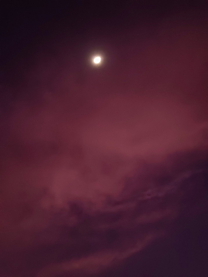fly me to moon