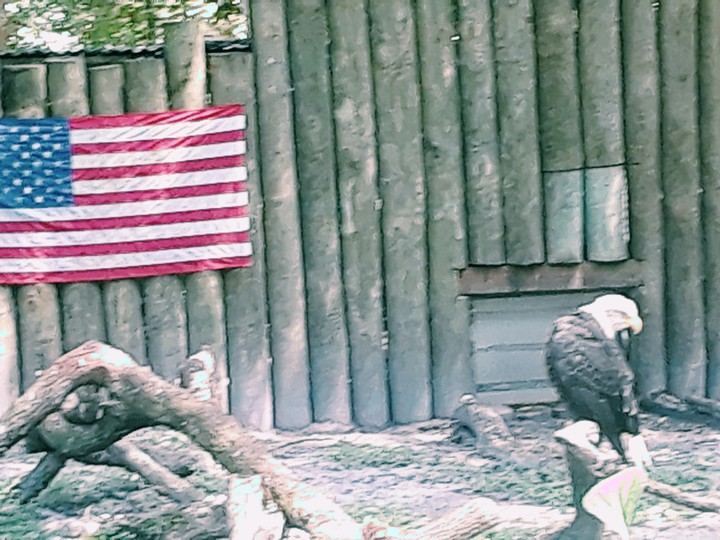 At The wild nature park