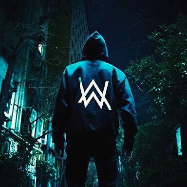 alan walker