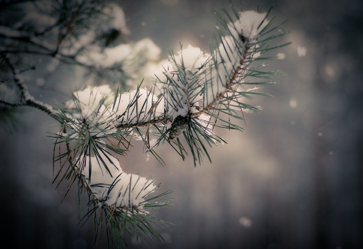 ❄️