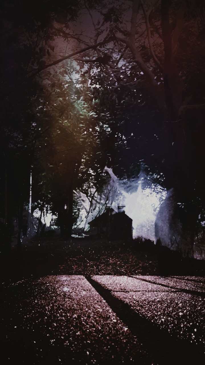 lets get lost tonight