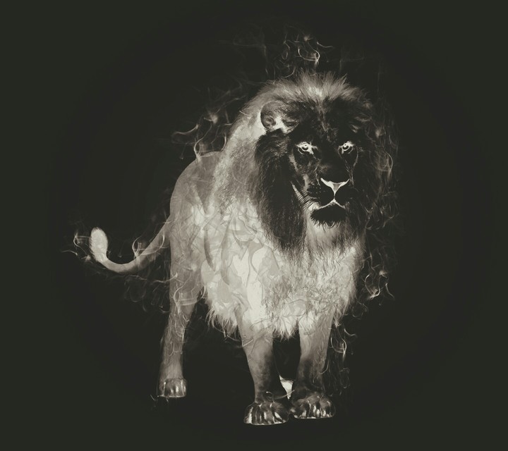aslan