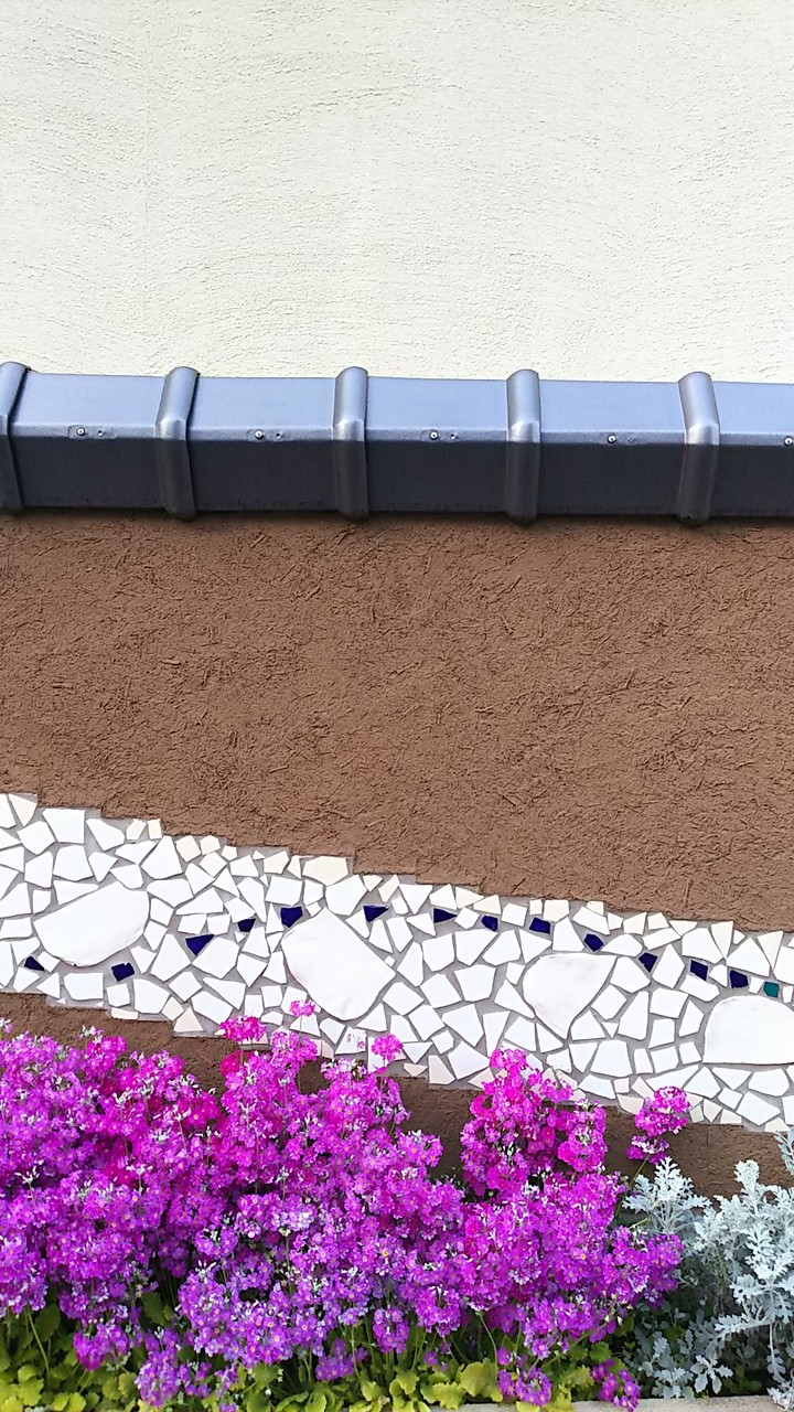 flowers & wall