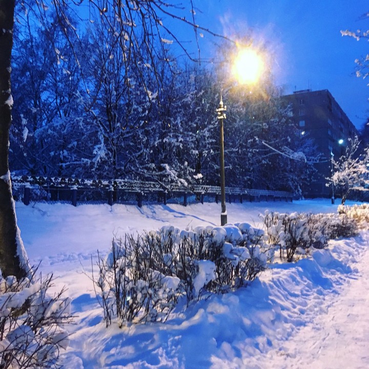 winter