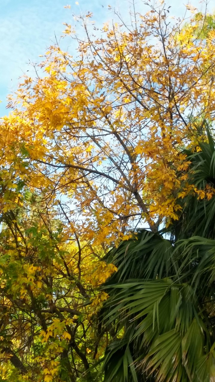 Otoño