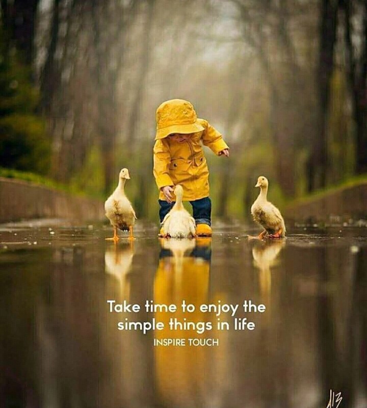simple life