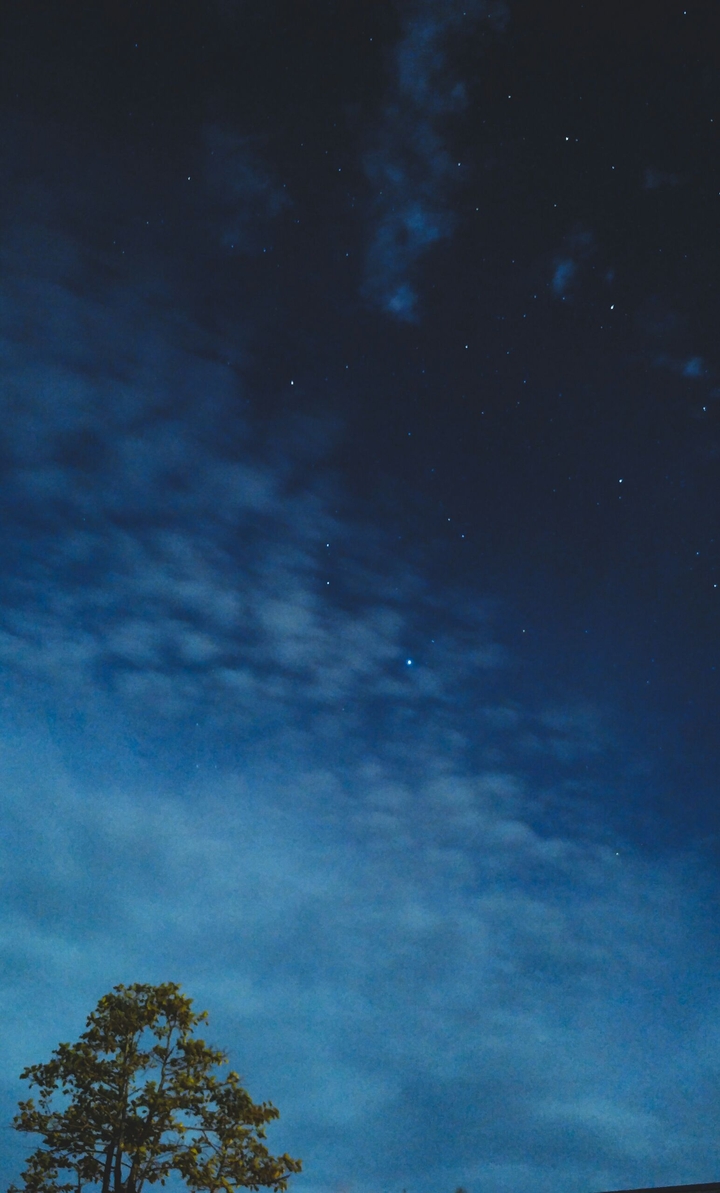 "Starry Night"