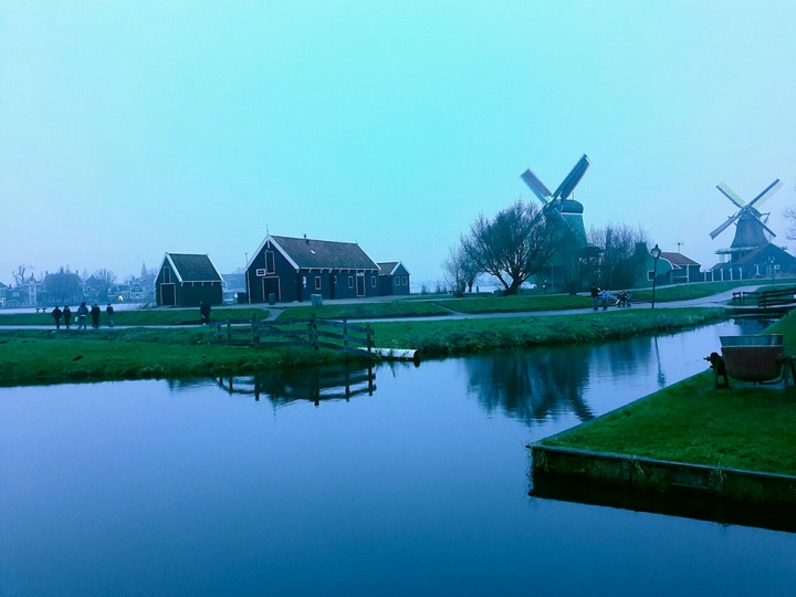 a foggy day in Zaanse Schans