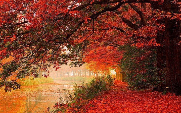 Nature's Beauty