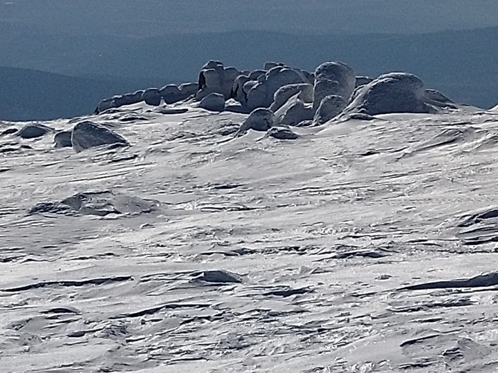 VITOSHA'S ROCKS
