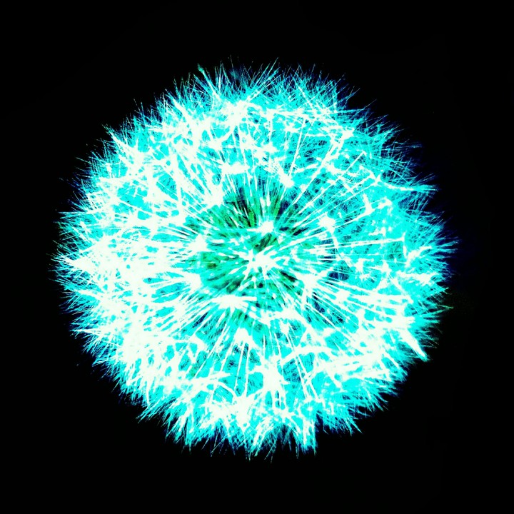 blowball