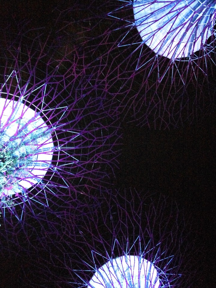 garden by the bay, Singapore