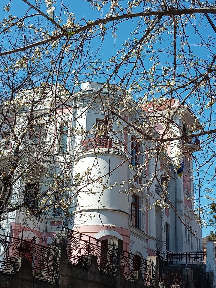 spring in my town