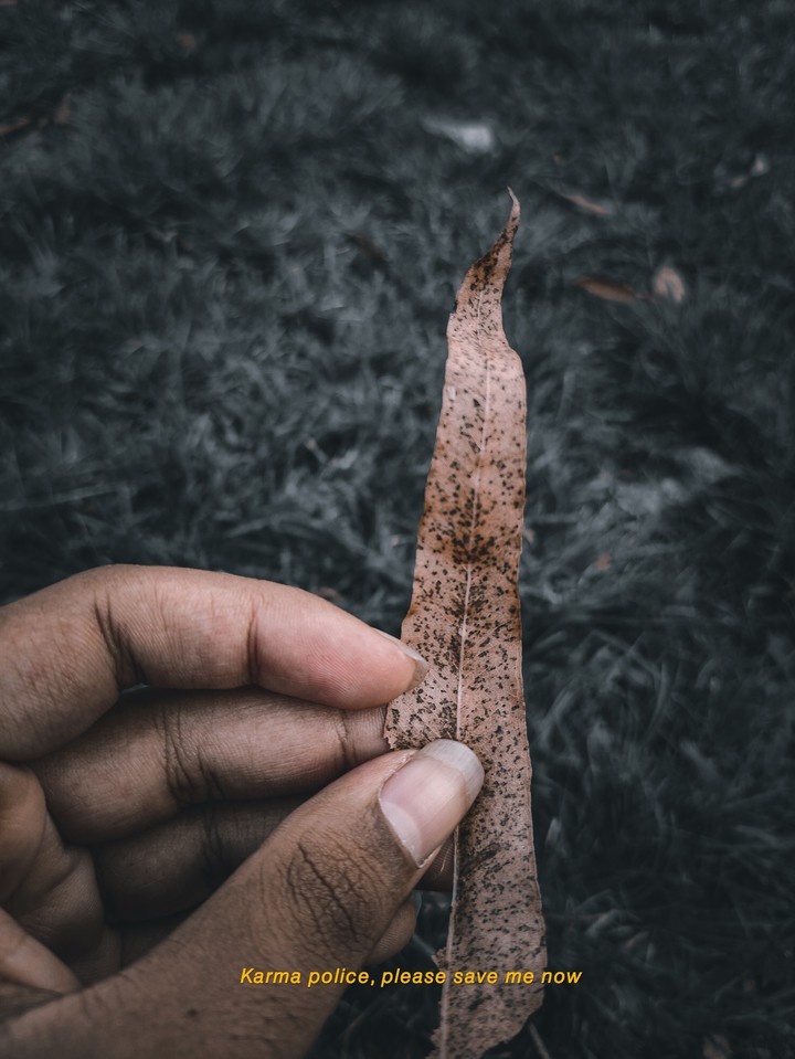 nature