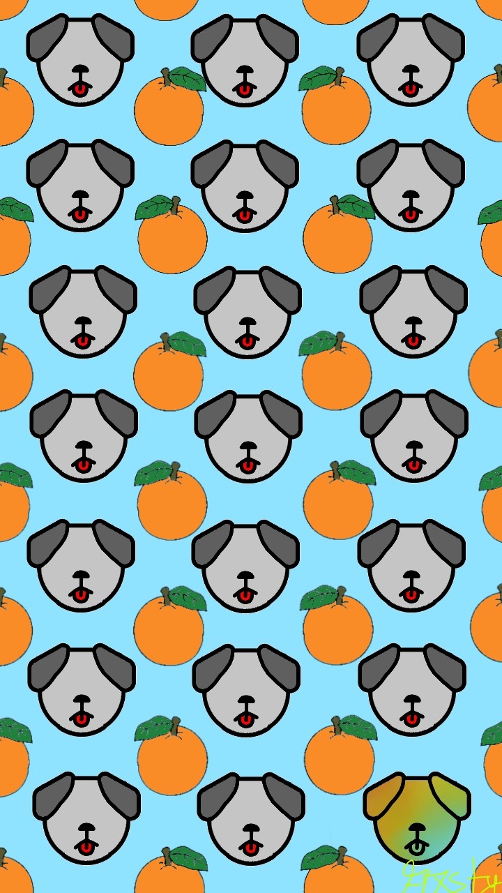 dogs and oranges