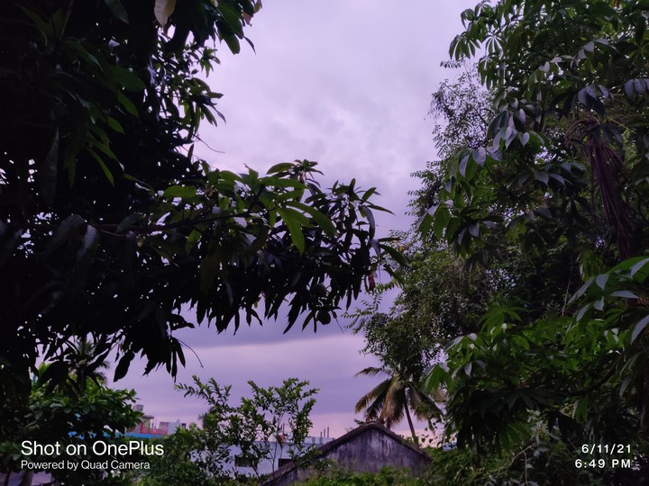 my village