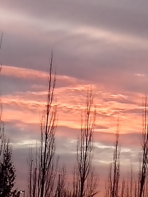Red Sky