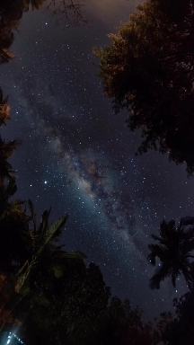 ✨