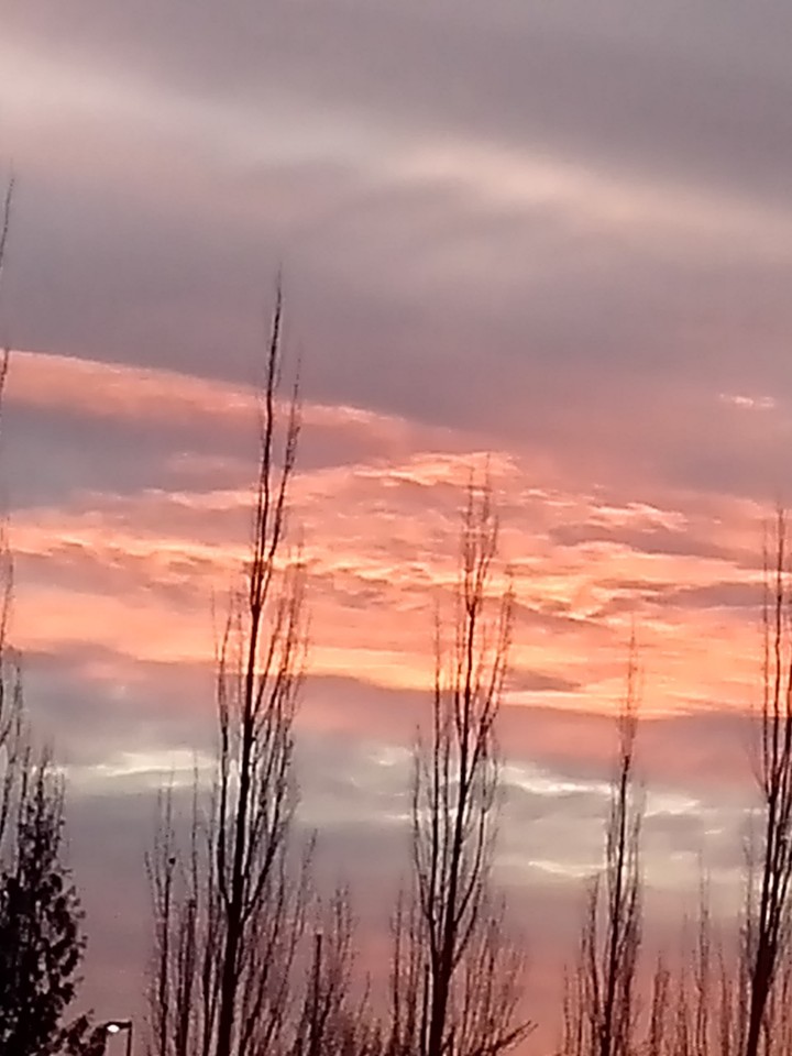 Red Sky