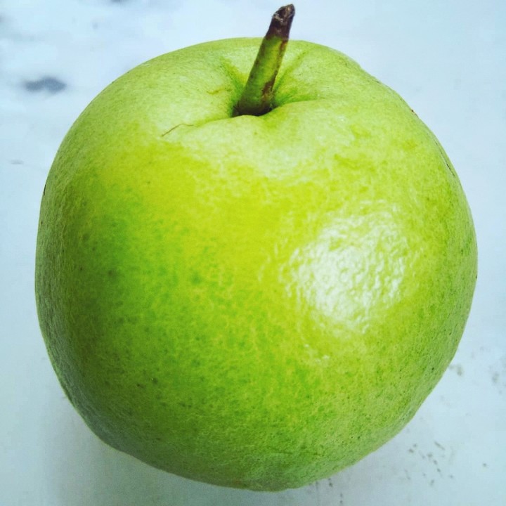 #guava