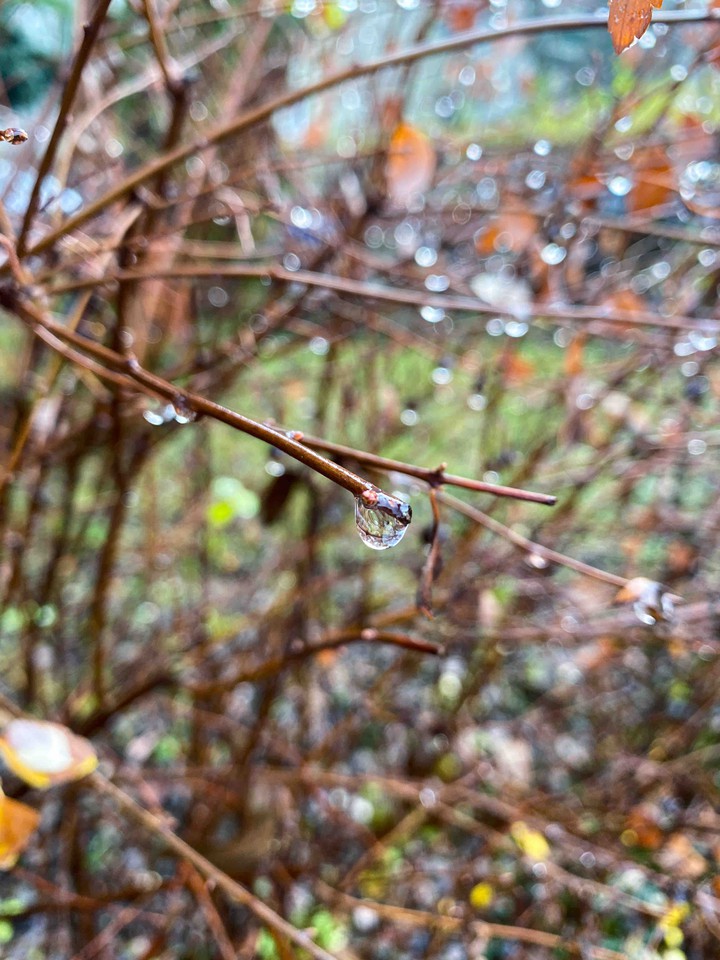 rain